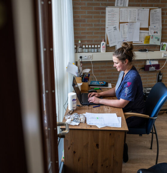 Medewerker aan het werk op de computer